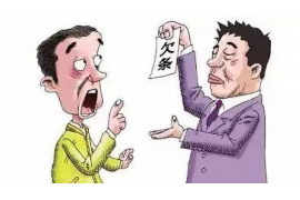 蝶山债务清欠服务