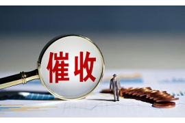 蝶山贷款清欠服务